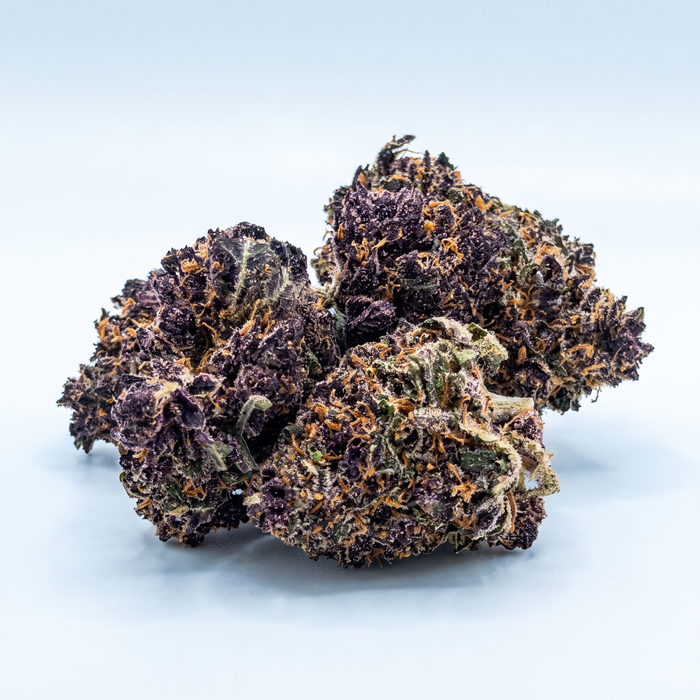 Amnesia CBD-Blüten: dicht gewachsene Blüten in tiefem Violett bis Purpurschwarz auf hellgrauem Grund, mit hellem Trichombelag und kräftig orangen Stempeln