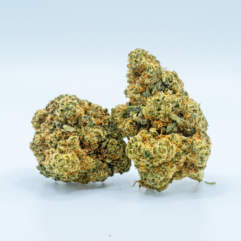 Amnesia CBD-Blüten: kompakte, rundliche Blüten auf hellgrauem Grund, helles Limettengrün bis blasses Frühlingsgrün mit dichtem hellem Trichombelag und kräftig orangen Stempeln