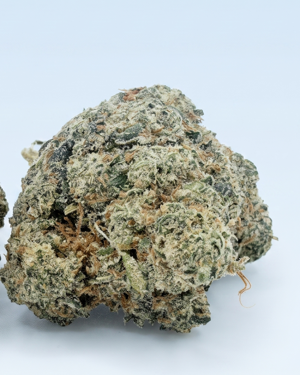 Nahansicht einer Ice Cream Cake CBD-Blüte mit graugrüner Struktur und hellem Trichombelag